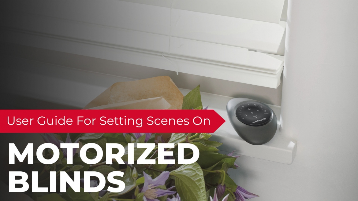 User Guide for Setting Scenes on Motorized Blinds